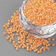 Cuisson de perles de clairon en verre peint SEED-R042-09-1