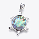 Abalone Shell / Paua Shelljewelry Sets X-SJEW-P089-02-2