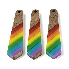 Anhänger aus Harz und Walnussholz mit Regenbogenmotiv, Unregelmäßige Viereck, 48.5x12x3.5 mm, Bohrung: 2 mm