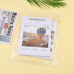 Sacchetti di plastica rettangolo&nbsp;PE-R001-06