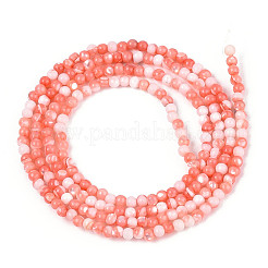 Brins de perles de coquillages de trochidés/trocas naturels teintés&nbsp;SSHEL-T017-13D