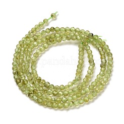 Natürlichen Peridot Perlen Stränge&nbsp;G-B107-A06-01