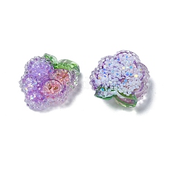 Obst transparente Epoxidharz Decoden Cabochons&nbsp;LS-CRES-I030-23E