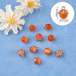 10 Stück Edelstein-Charm-Anhänger&nbsp;JX599C