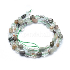 Abalorios de cuarzo lodolite naturales hebras&nbsp;X-G-L550A-07