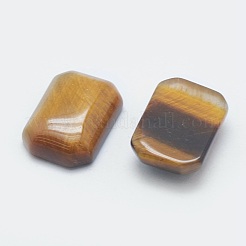 Tigre naturale cabochon occhio&nbsp;G-G759-L03