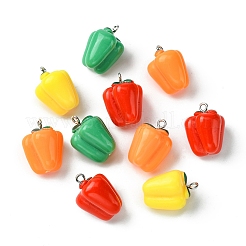 Pendenti vegetali imitazione resina 20 pz 4 colori&nbsp;RESI-YW0001-59