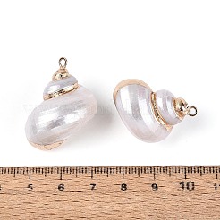 Colgantes de concha marina natural galvanizada&nbsp;SSHEL-T018-09