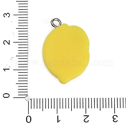 Résine avec pendentifs en alliage&nbsp;RE-CBA08CD-09A
