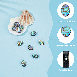 10 Stück natürliche Paua-Muschelperlen&nbsp;SSHEL-FI0001-04