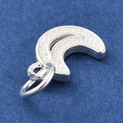 Encantos de plata 925 esterlina&nbsp;STER-S009-07B-S