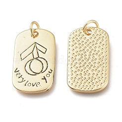 Messing Anhänger & Charms&nbsp;KK-M214-07G