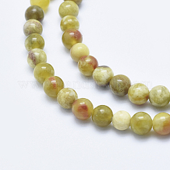 Serpentine naturelle perles de jade brins&nbsp;G-P353-06-6mm