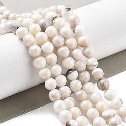 Natur persische Jade Perlen Stränge&nbsp;X-G-A255-A02-02K