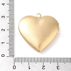 Ciondoli medaglione in ottone&nbsp;KK-M263-01G-01