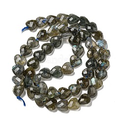 Natur Labradorit Perlen Stränge&nbsp;G-P544-E01-01