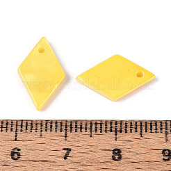 Anhänger aus sprühlackierten natürlichen Süßwassermuscheln&nbsp;BSHE-T014-07B