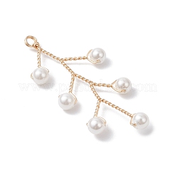 Muschelperle&nbsp;PALLOY-TA00324
