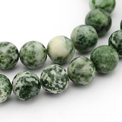 Fili di perline gemstone&nbsp;GSR10mmC006