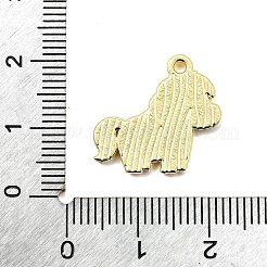 Zink-Legierung Emaille-Anhänger&nbsp;FIND-Z080-01G-08