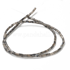 Fili di perline di larvikite naturale&nbsp;G-B004-A16