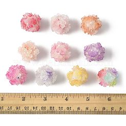 10pcs 10 perles de résine de couleurs&nbsp;RESI-FS0002-24B