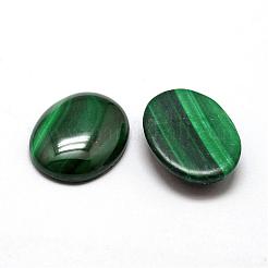 Oval natürliche Malachit cabochons&nbsp;G-O147-03H