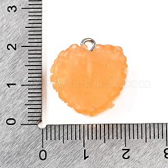 Harzanhänger&nbsp;FIND-U031-11B-P