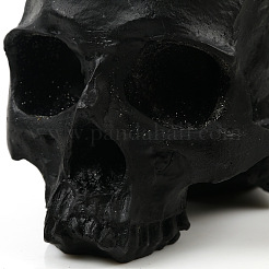 Figuras de calaveras de resina de halloween&nbsp;PW-WG47008-01