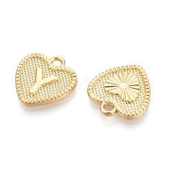 Pendentifs en alliage&nbsp;PALLOY-N157-001Y-NR