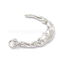 Messing Anhänger & Charms&nbsp;KK-L188-39P