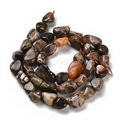 Natur Ozean Jaspis Perlen Stränge&nbsp;G-P497-01E-76