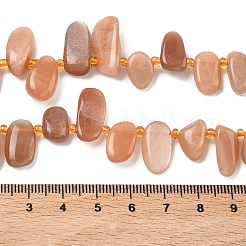 Natürliche sunstone Perlen Stränge&nbsp;G-P604-A04-01