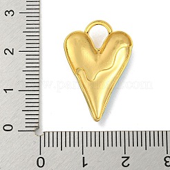 Pendentifs en acier inoxydable 304 avec placage ionique (IP)&nbsp;X-STAS-U007-05F-G