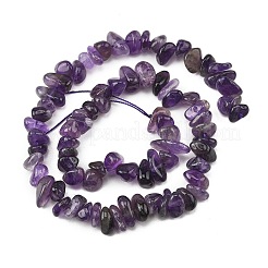 Natürlichen Amethyst Perlen Stränge&nbsp;G-P622-A04-01