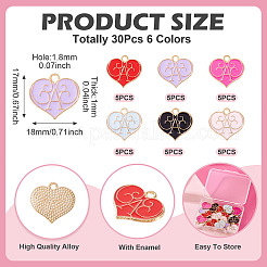 30pcs 6 pendentifs en alliage de couleurs&nbsp;ENAM-TA0009-04