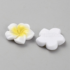 Cabochon in Resina&nbsp;CRES-WH20001-06A