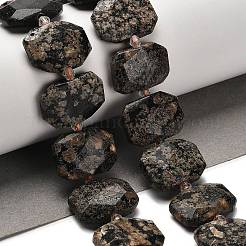 Naturschneeflocke Obsidian Perlen Stränge&nbsp;G-H078-B22-01