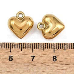 Anhänger aus 304 Edelstahl&nbsp;STAS-L303-13G
