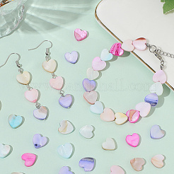 2 Strang Macaron Farbe natürliche Muschelperlen Stränge&nbsp;SHEL-SC0001-88B