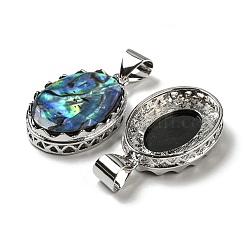 Natur Paua Muschel Anhänger&nbsp;FIND-Z032-05C