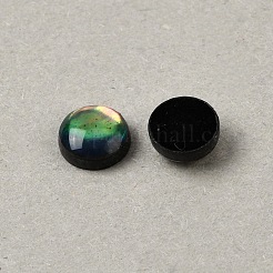 Natürliche Abalone-Muschel/Paua-Muschel-Cabochons mit Emaille&nbsp;BSHE-WH0006-06A