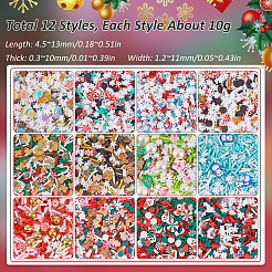 120g 12 Stile Weihnachten Themen DIY Epoxidharz Materialfüllung&nbsp;DIY-SC0027-29