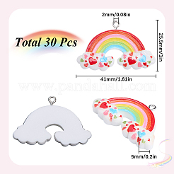 30pcs pendentifs en résine opaque&nbsp;RESI-SC0005-84