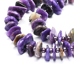 Naturperlen Stränge charoite&nbsp;G-E569-K04