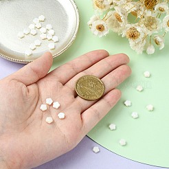 30 Stück natürliche Süßwasser-Muschelperlen&nbsp;SHEL-CJ0001-29