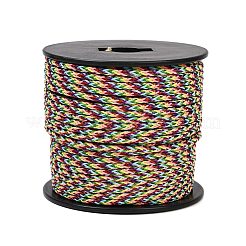 Fils tressés en acier inoxydable 304 recouverts de nylon de 40 m&nbsp;TWIR-P002-01B-15