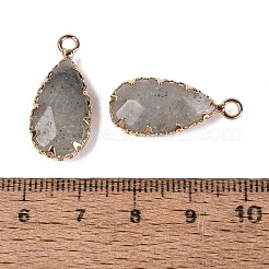 Pendentifs à facettes en labradorite naturelle&nbsp;G-Q606-104G-04