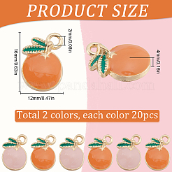 40pcs 2 pendentifs en alliage de couleurs&nbsp;ENAM-SC0005-30