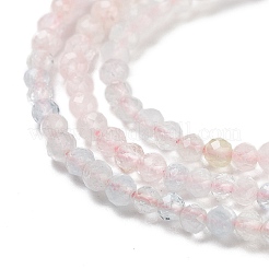 Naturperlen Stränge morganite&nbsp;G-B088-C22-02